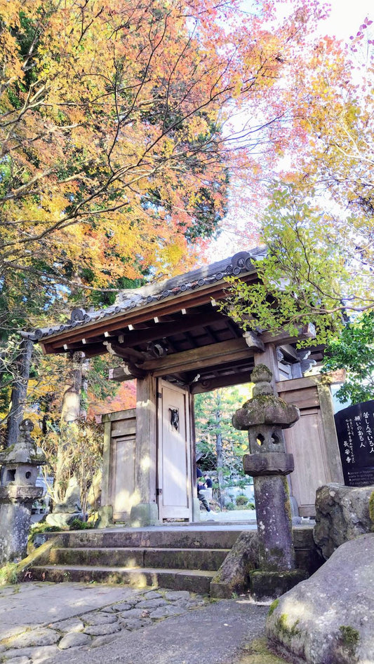 manamiの私ごとですが#6ぶらっと箱根・長安寺の紅葉ドライブ