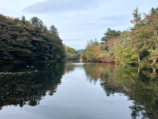 manamiの私ごとですが#03秋の行楽♪日帰り軽井沢旅行
